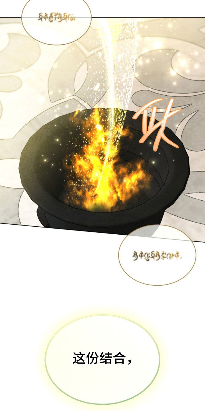冰封的王嫁漫画,第24章：送入洞房1图