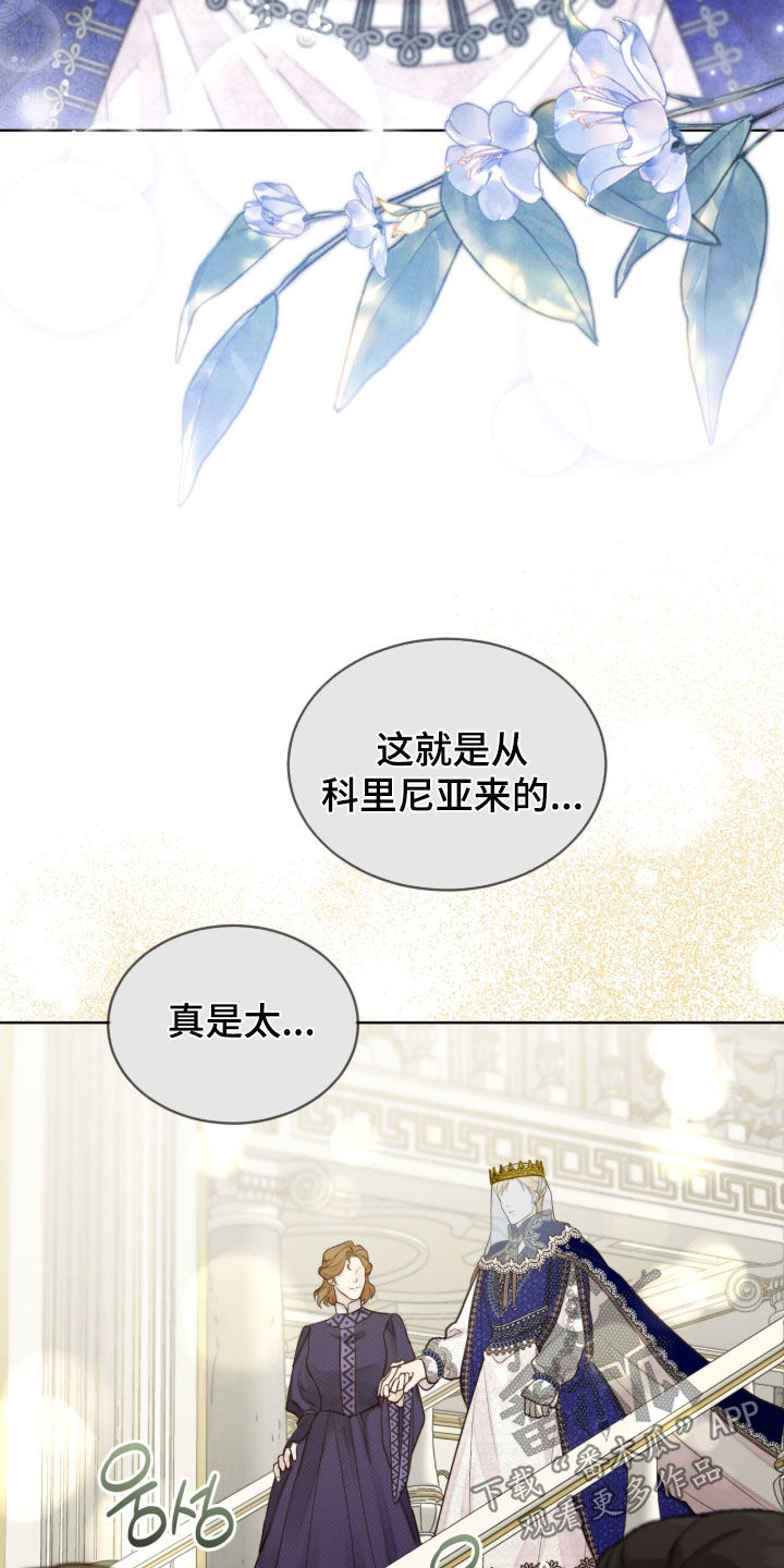冰封的王嫁漫画,第22章：婚礼2图