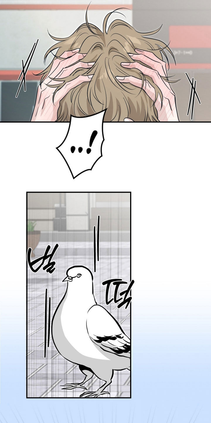 隔墙有耳漫画,第19章：共进晚餐1图