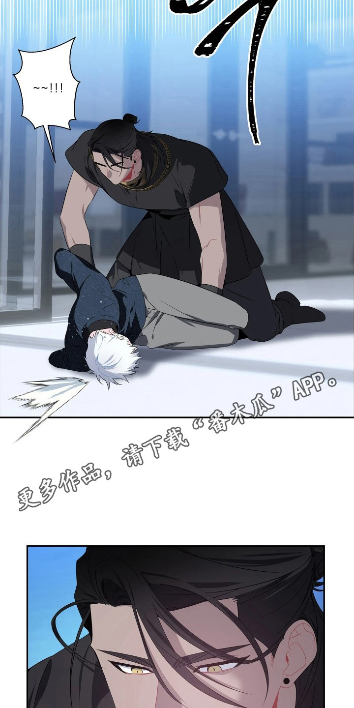 底牌与谎言漫画,第6章：共享1图