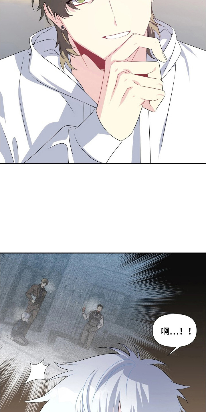 底牌与谎言漫画,第8章：讨欢心5图