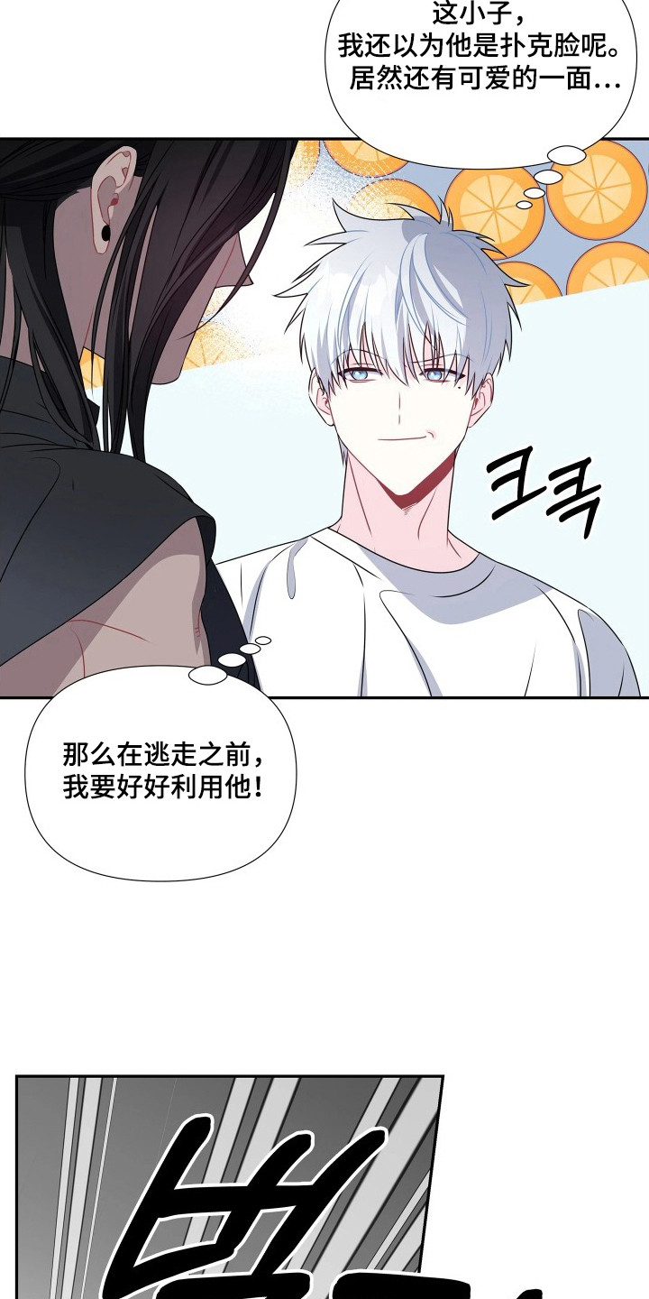 底牌与谎言漫画,第11章：行李3图