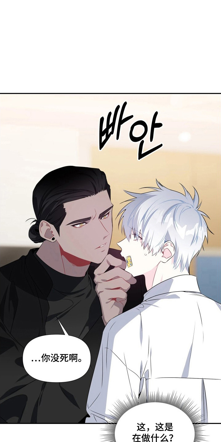 底牌与谎言漫画,第8章：讨欢心2图