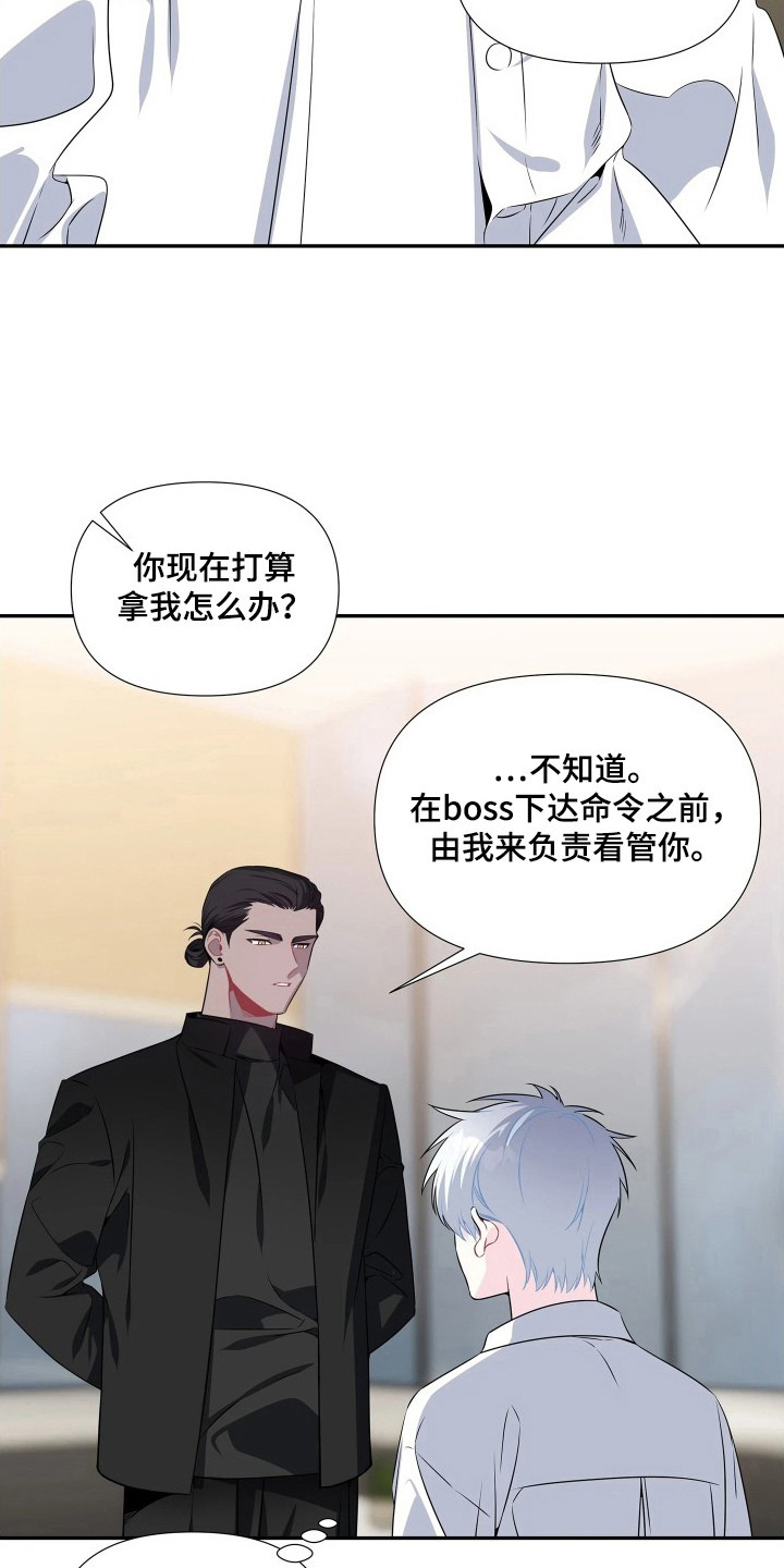 底牌与谎言漫画,第8章：讨欢心4图