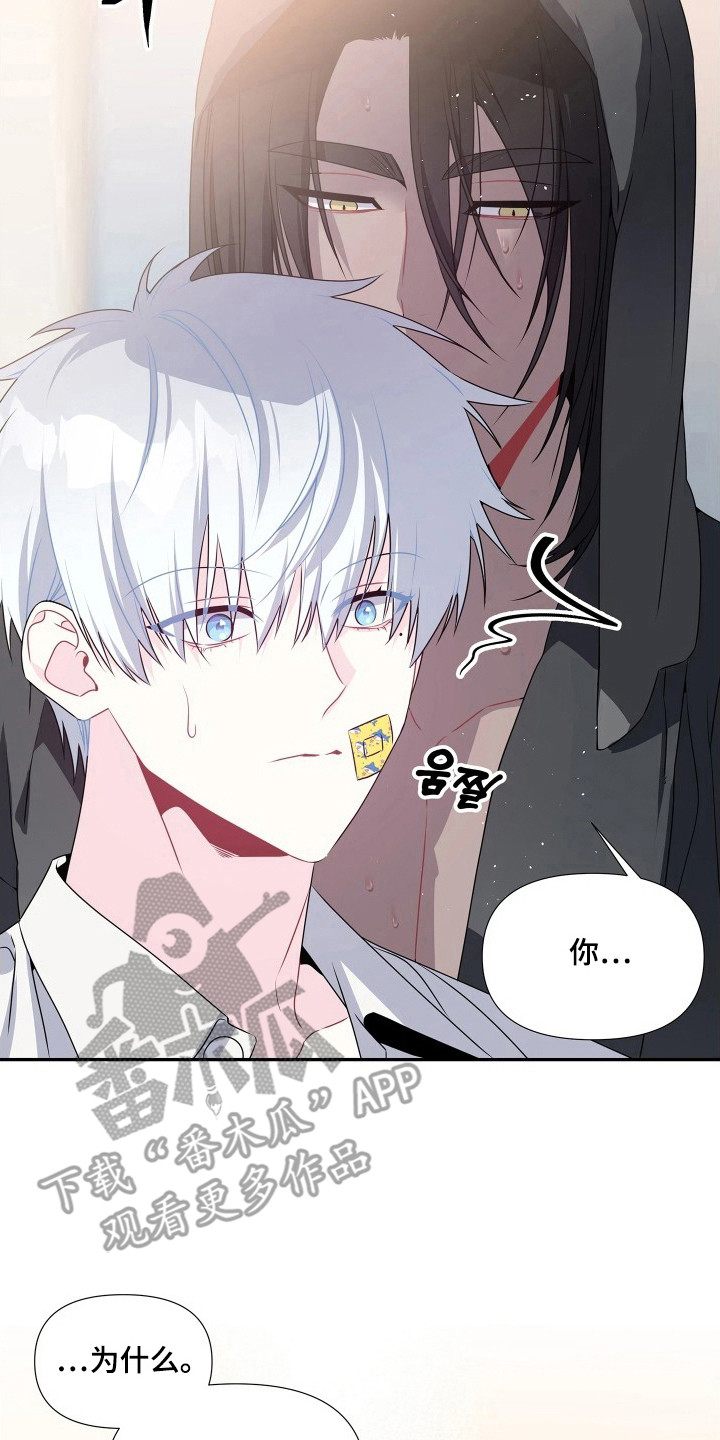 底牌与谎言漫画,第9章：嫂子3图