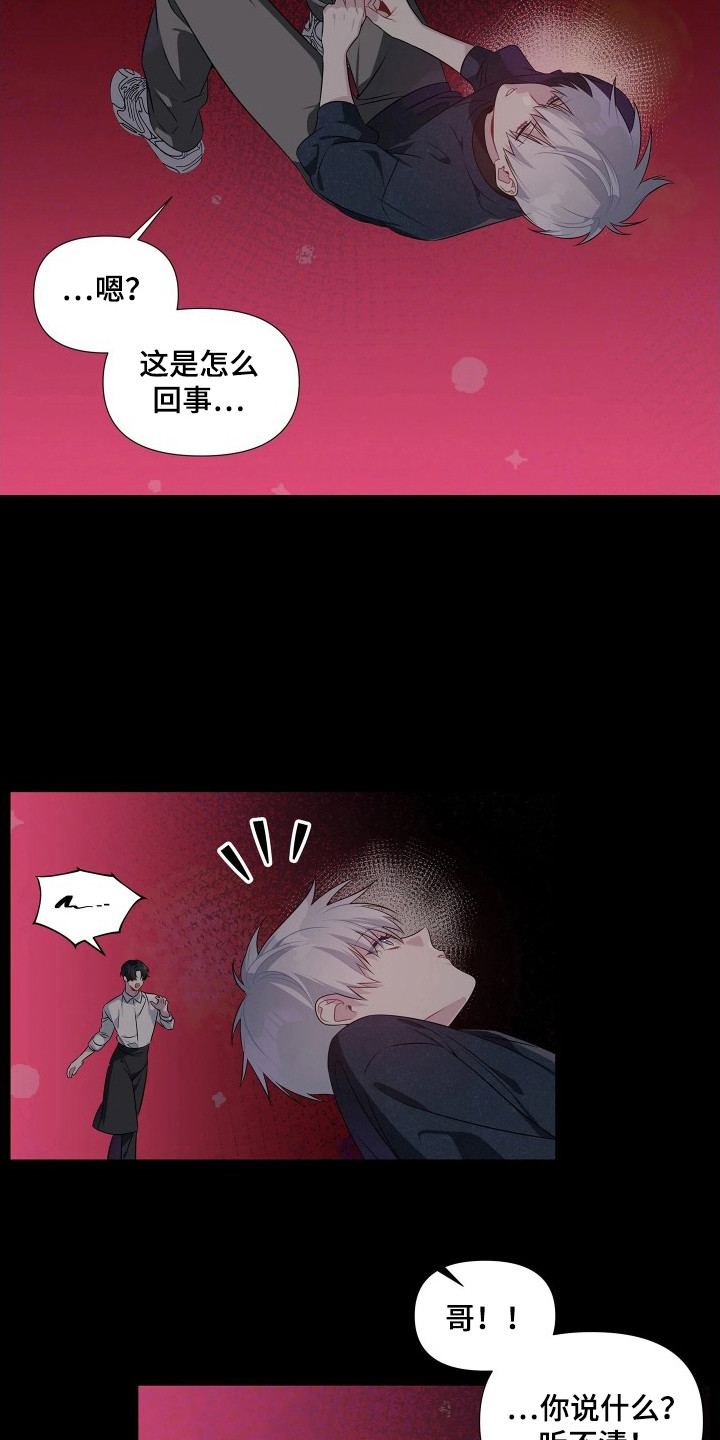 底牌与谎言漫画,第5章：捡回去4图