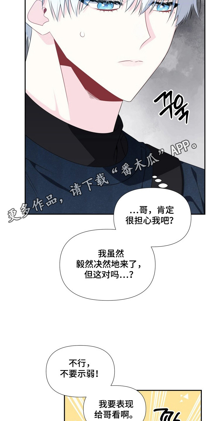 底牌与谎言漫画,第4章：求饶5图