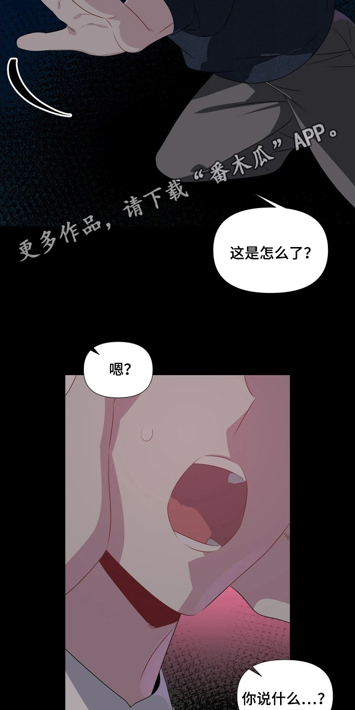 底牌与谎言漫画,第5章：捡回去1图