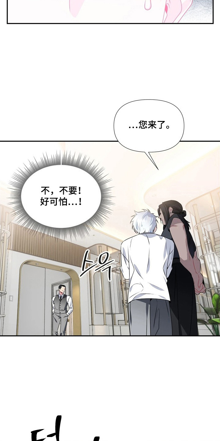 底牌与谎言漫画,第11章：行李1图