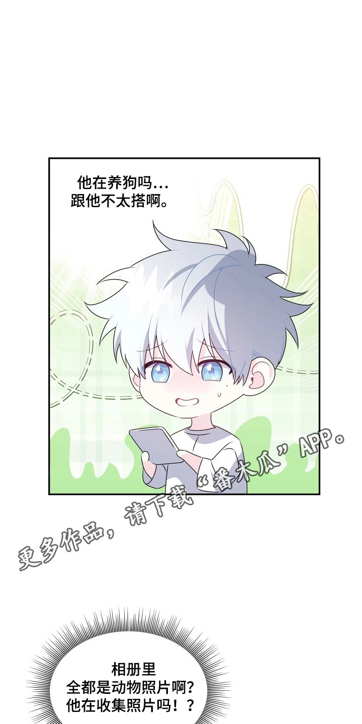 底牌与谎言漫画,第11章：行李5图