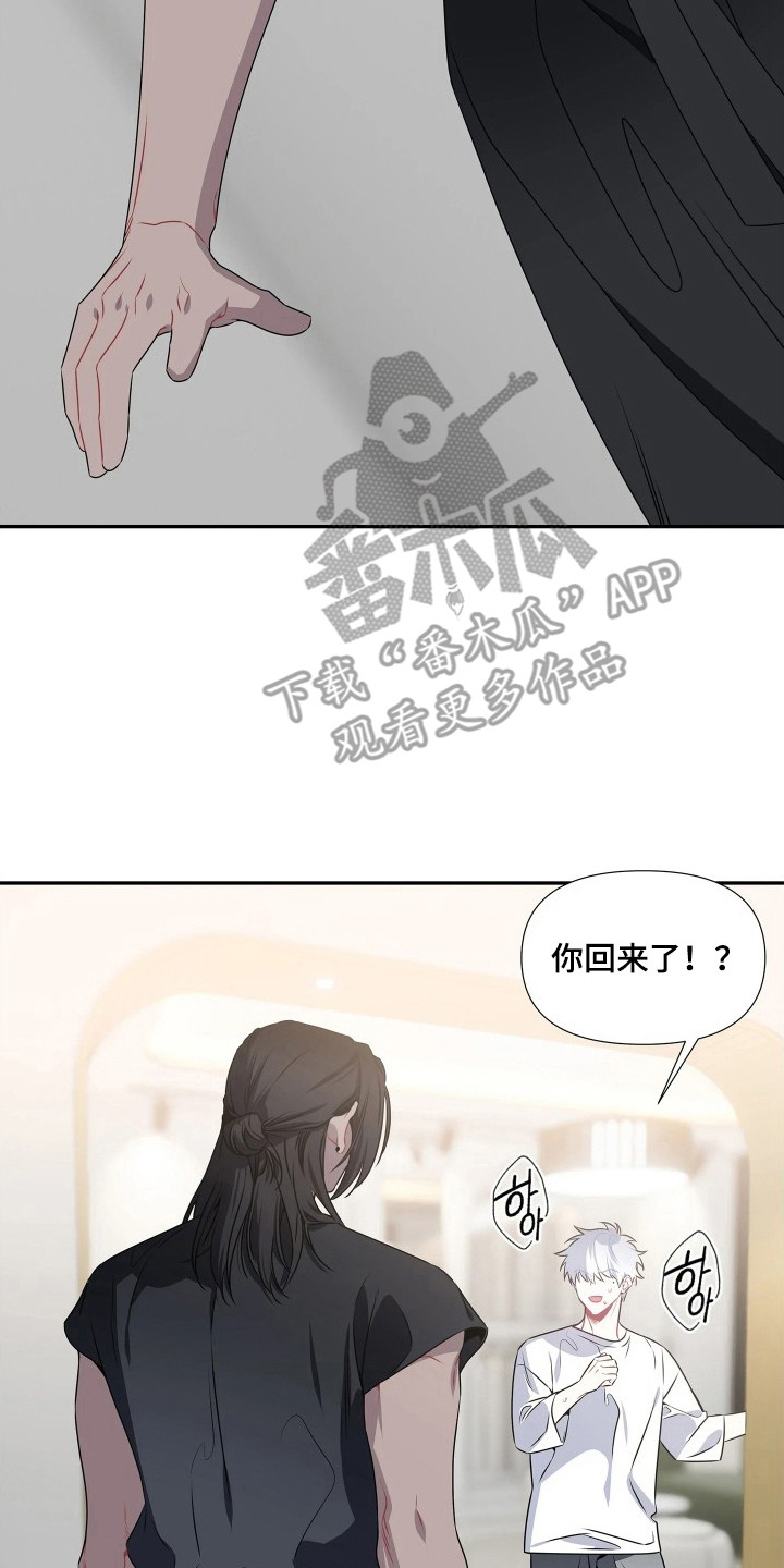底牌与谎言漫画,第11章：行李3图