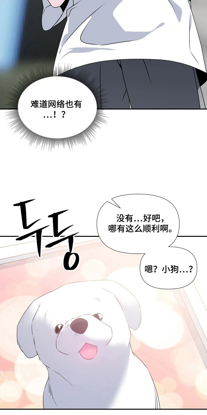 底牌与谎言漫画,第11章：行李4图