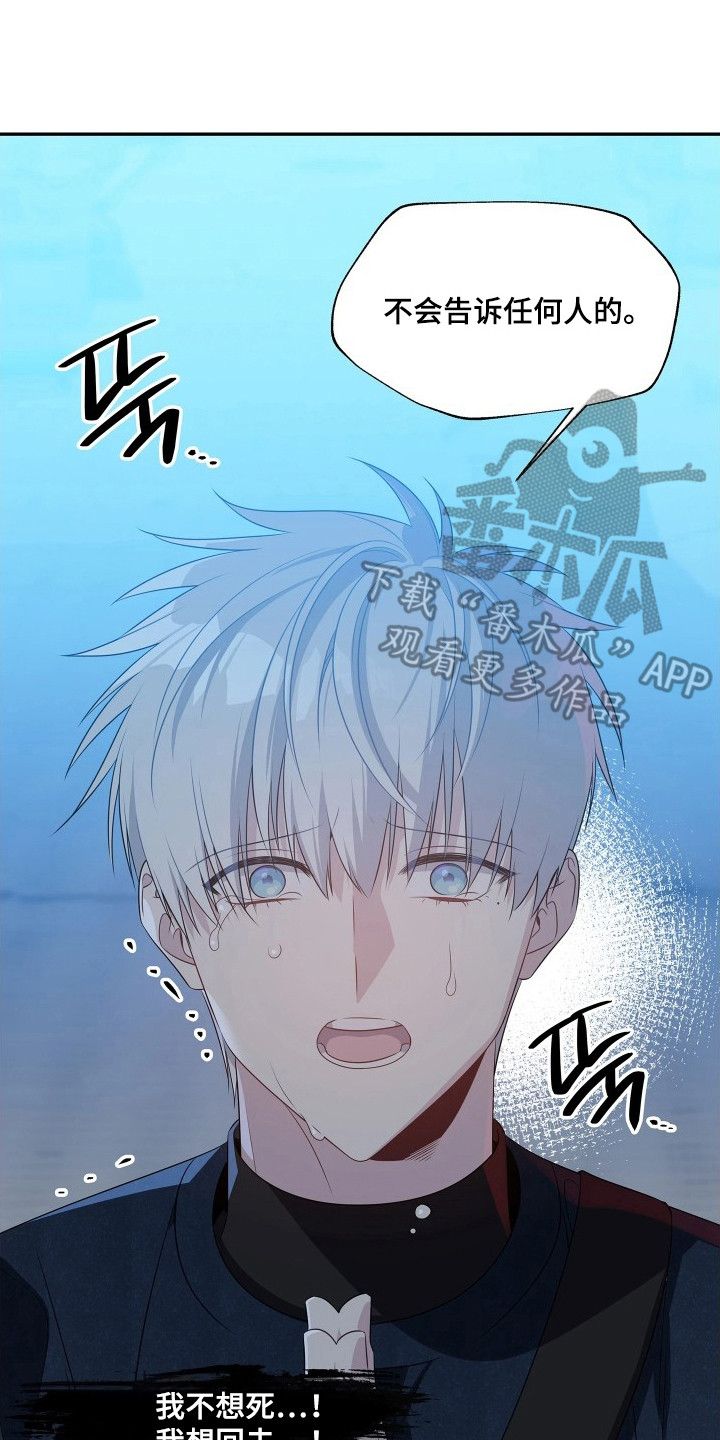 底牌与谎言漫画,第4章：求饶3图