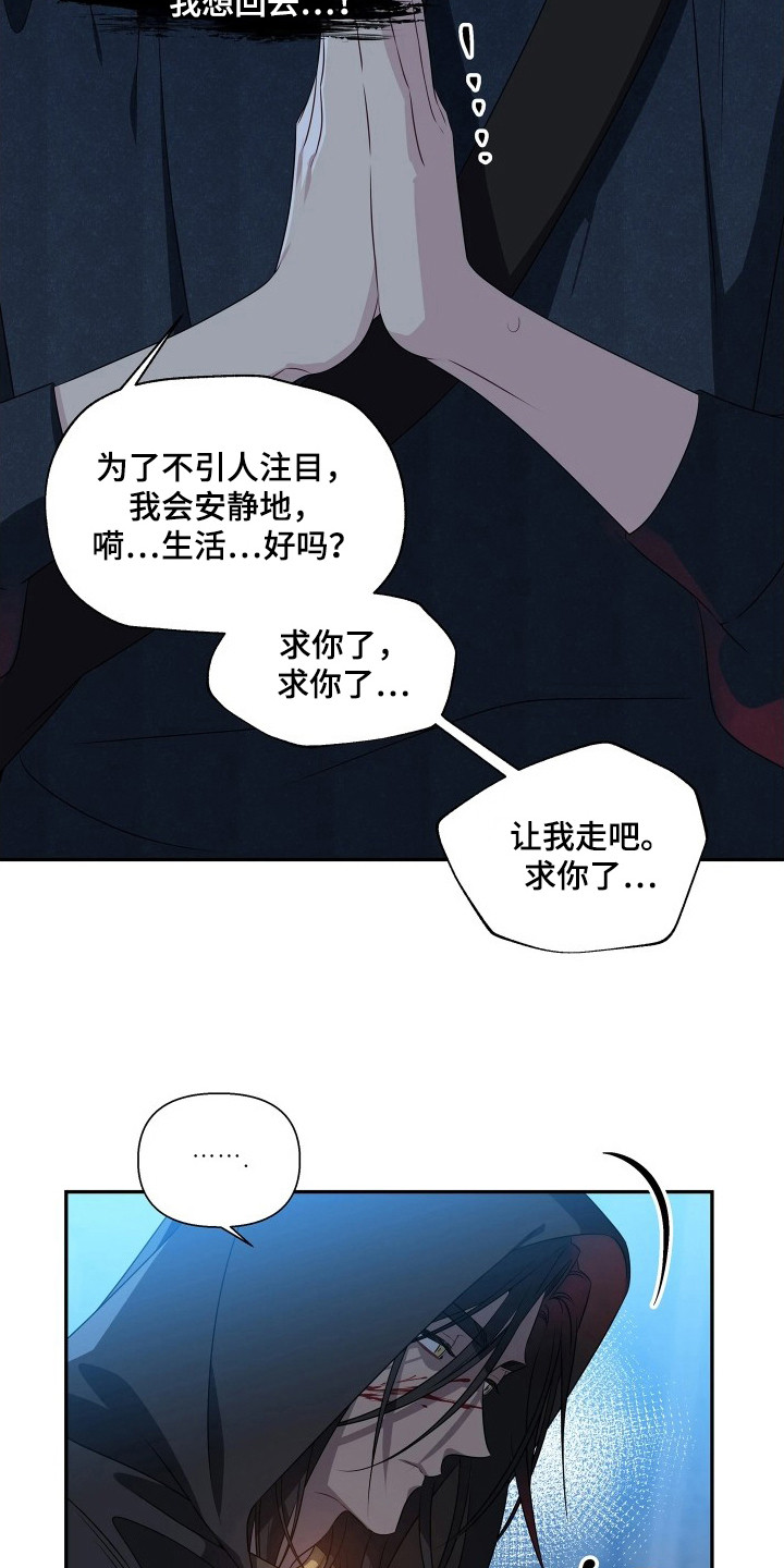 底牌与谎言漫画,第4章：求饶4图