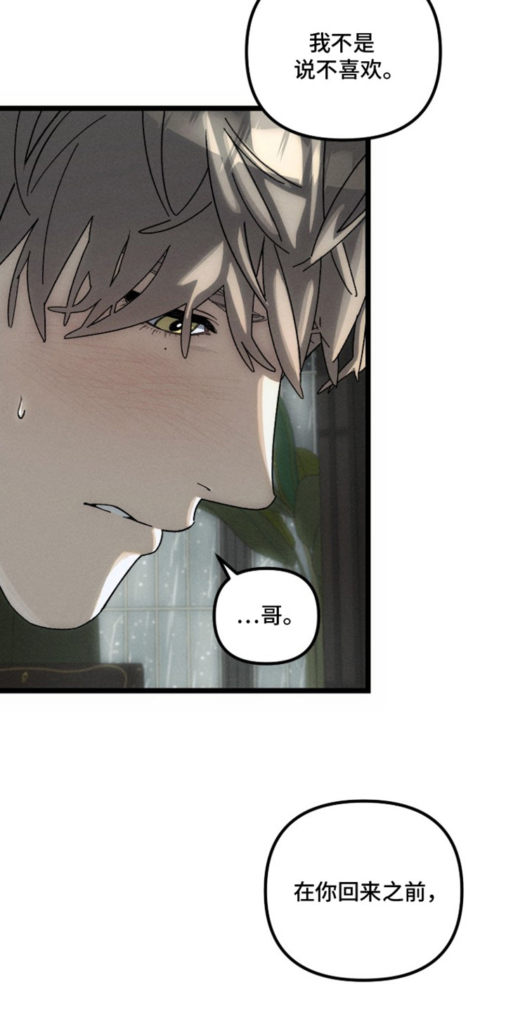 窥秘者漫画,第8章：不想再等了2图