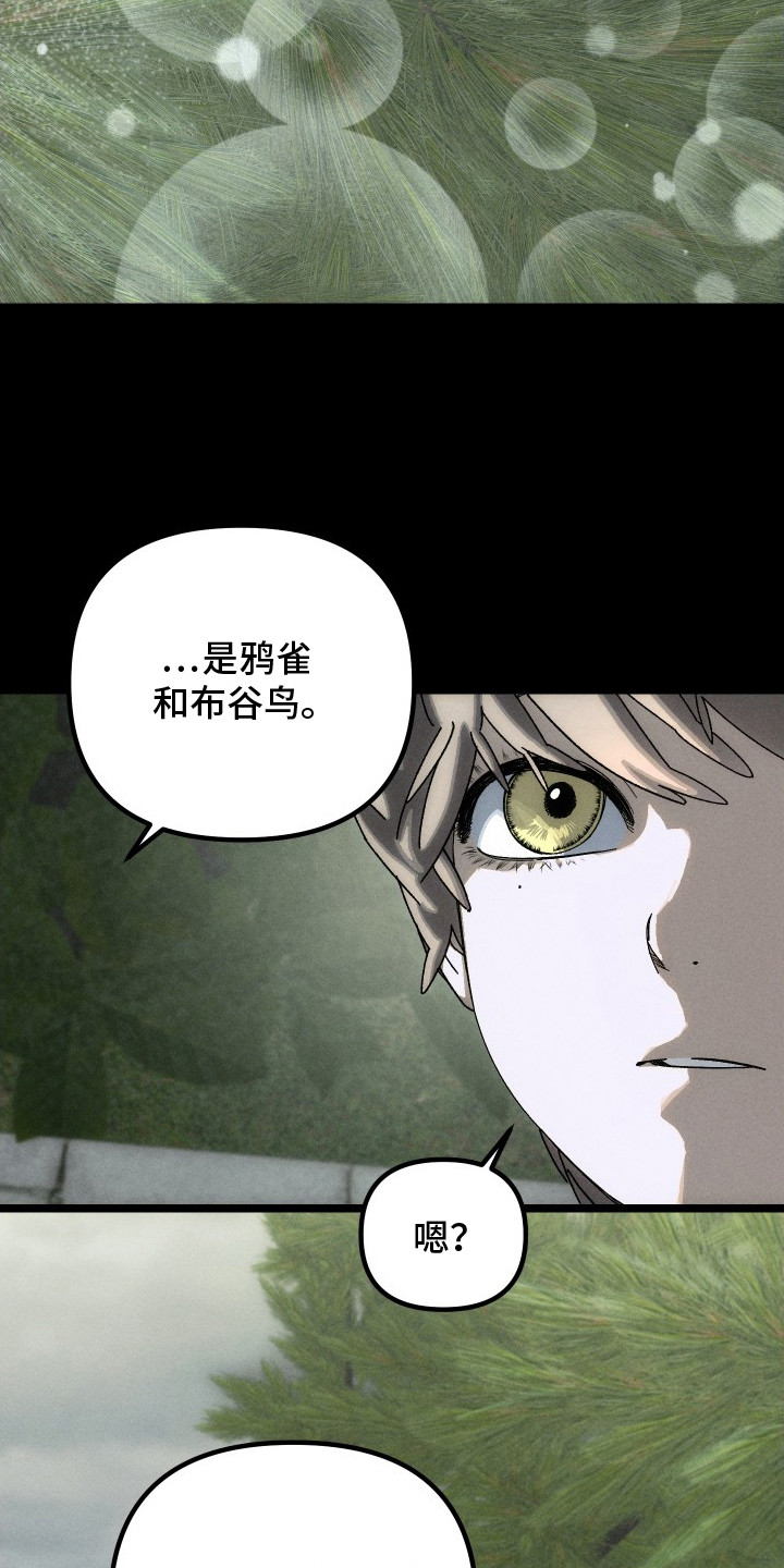 窥秘者漫画,第12章：布谷鸟3图