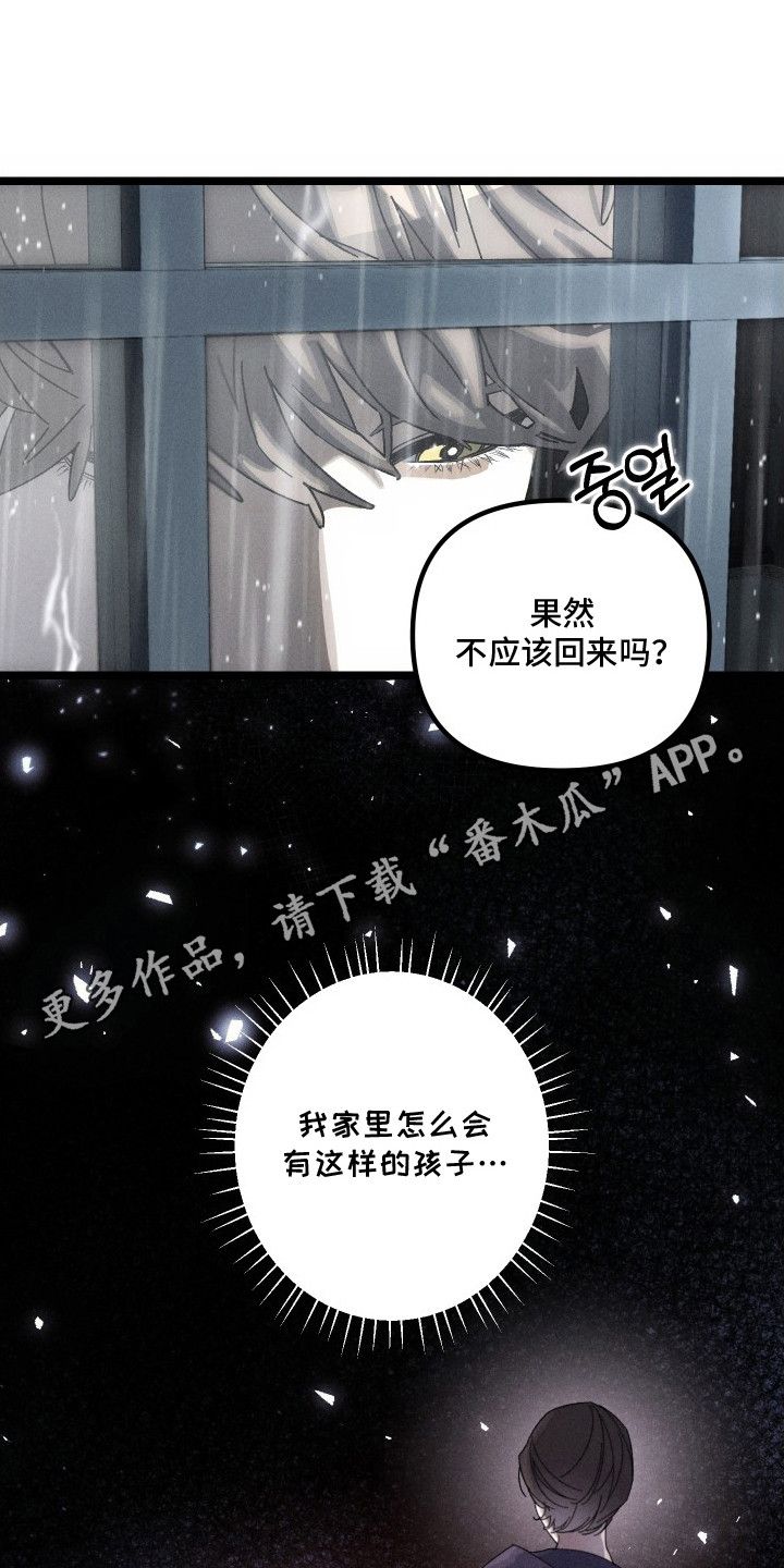 窥秘者漫画,第7章：脆弱的内心5图