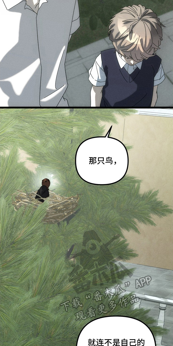 窥秘者漫画,第12章：布谷鸟2图