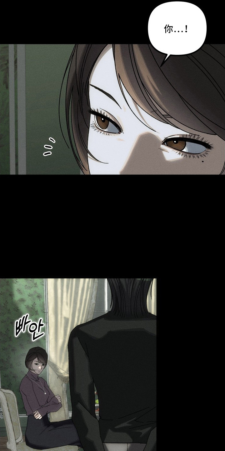 窥秘者漫画,第11章：一直跟着3图