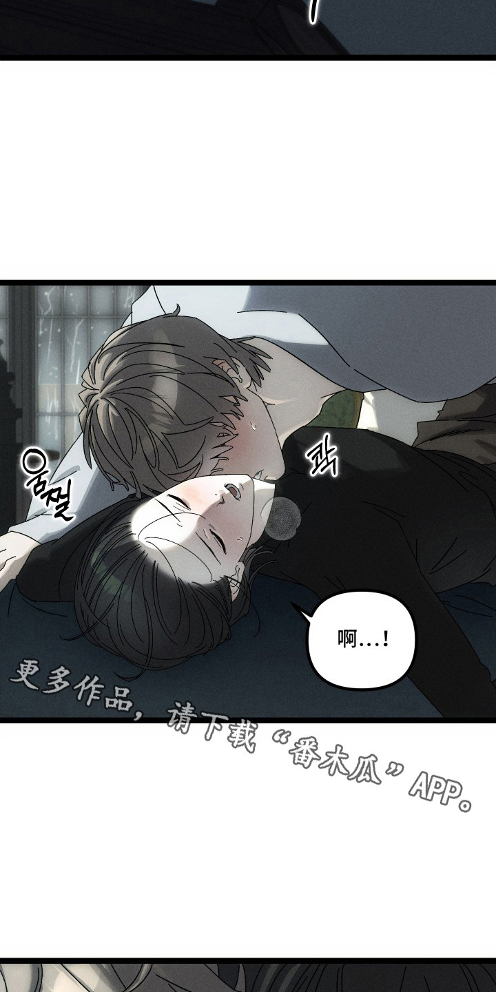 窥秘者漫画,第8章：不想再等了1图