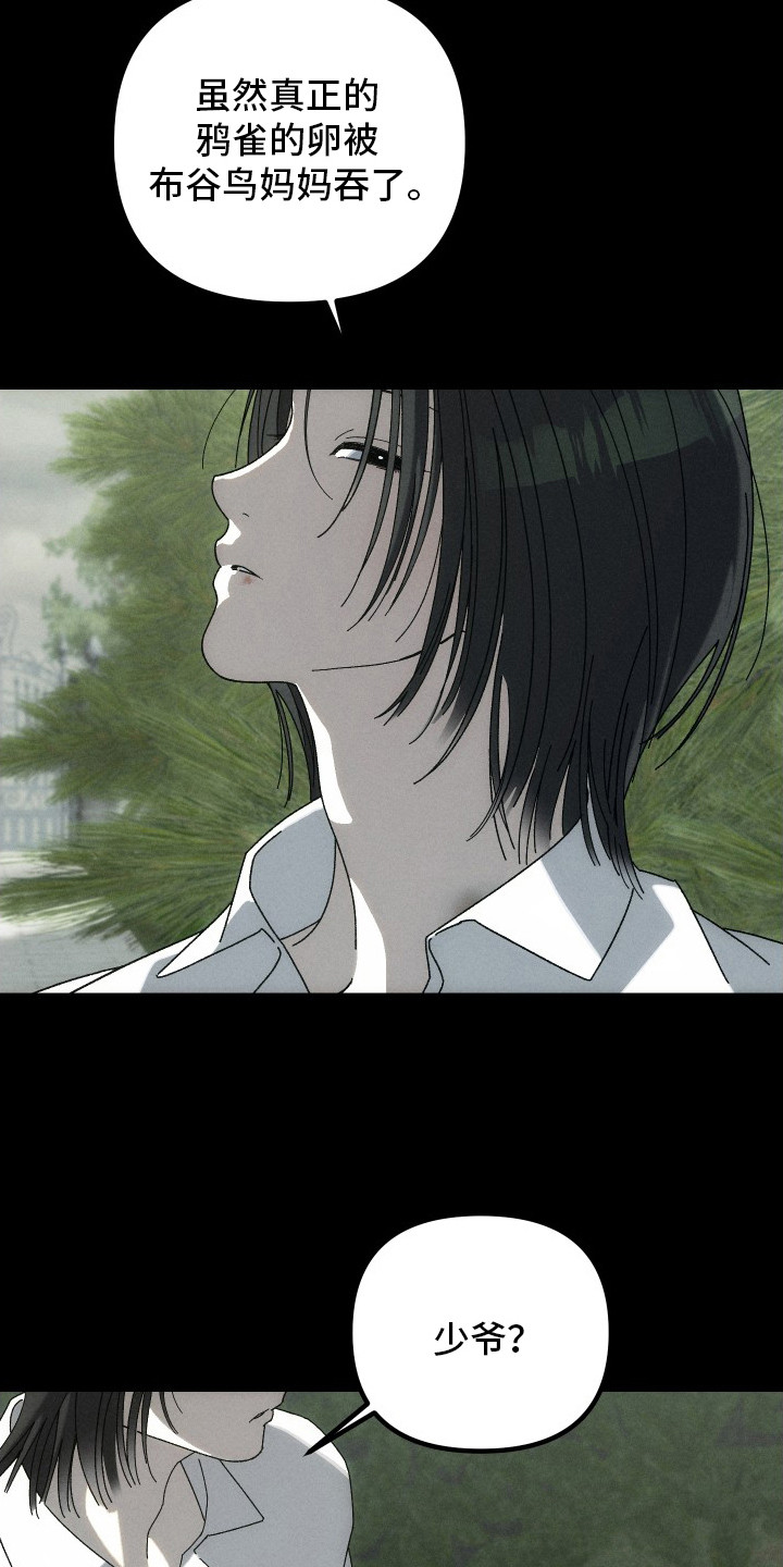 窥秘者漫画,第12章：布谷鸟1图