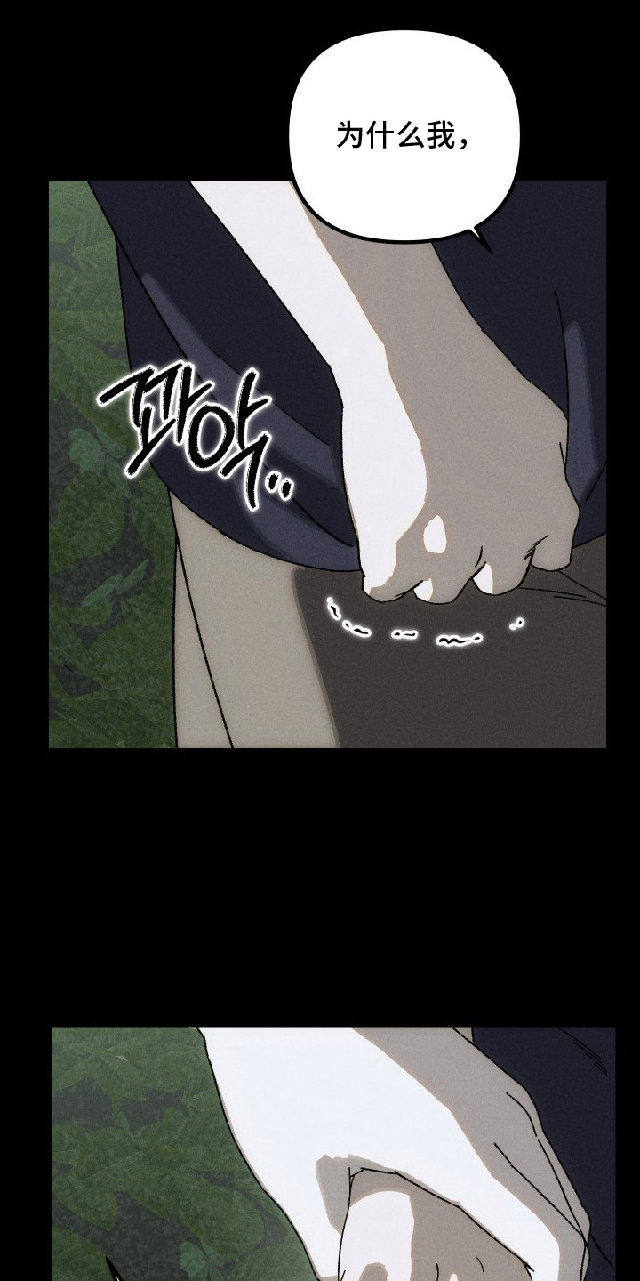 窥秘者漫画,第12章：布谷鸟4图
