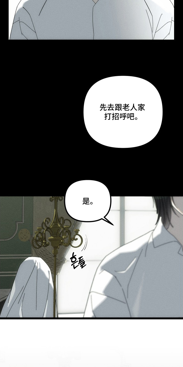 窥秘者漫画,第10章：没打算回去3图