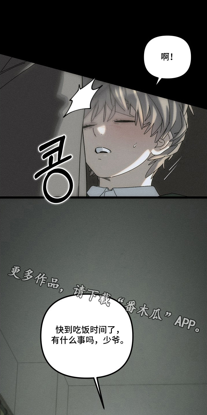 窥秘者漫画,第11章：一直跟着5图