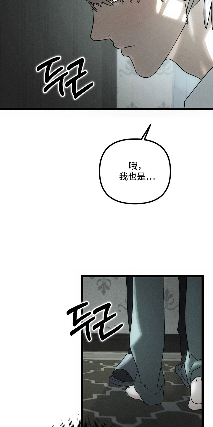 窥秘者漫画,第5章：处理住宅4图