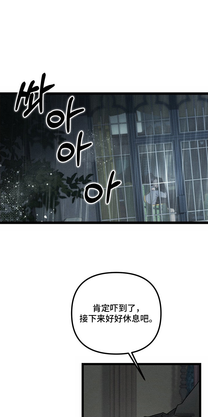 窥秘者漫画,第8章：不想再等了1图