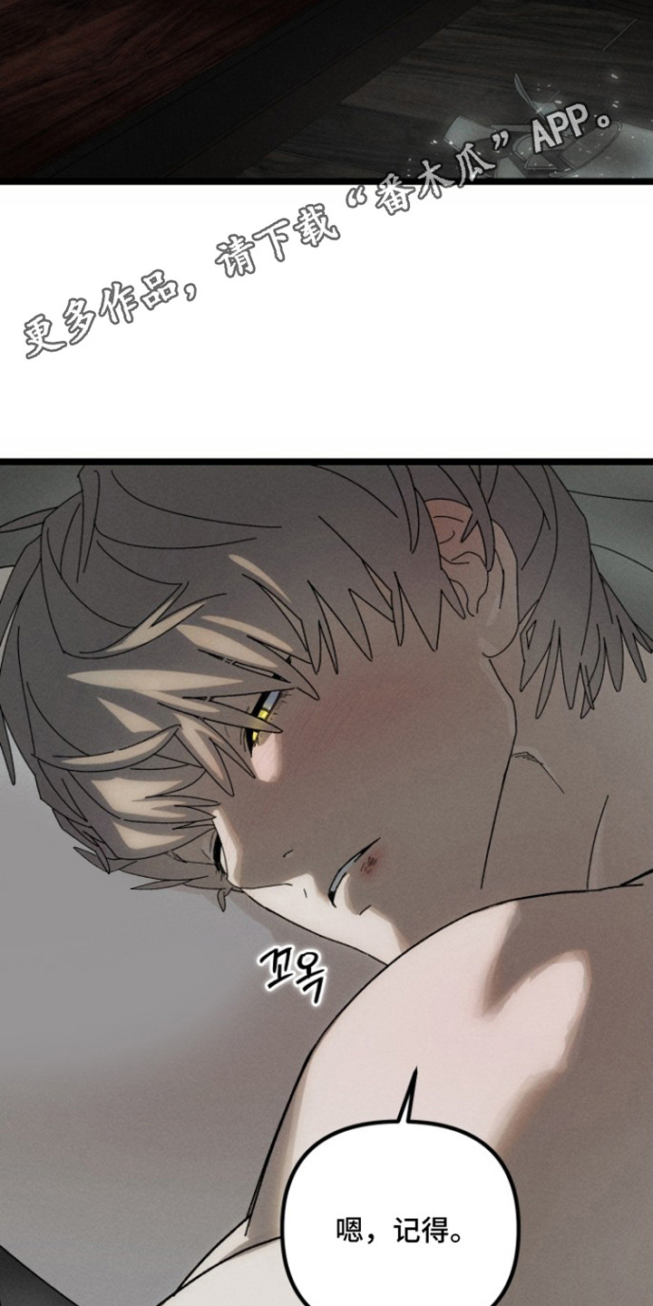 窥秘者漫画,第10章：没打算回去1图