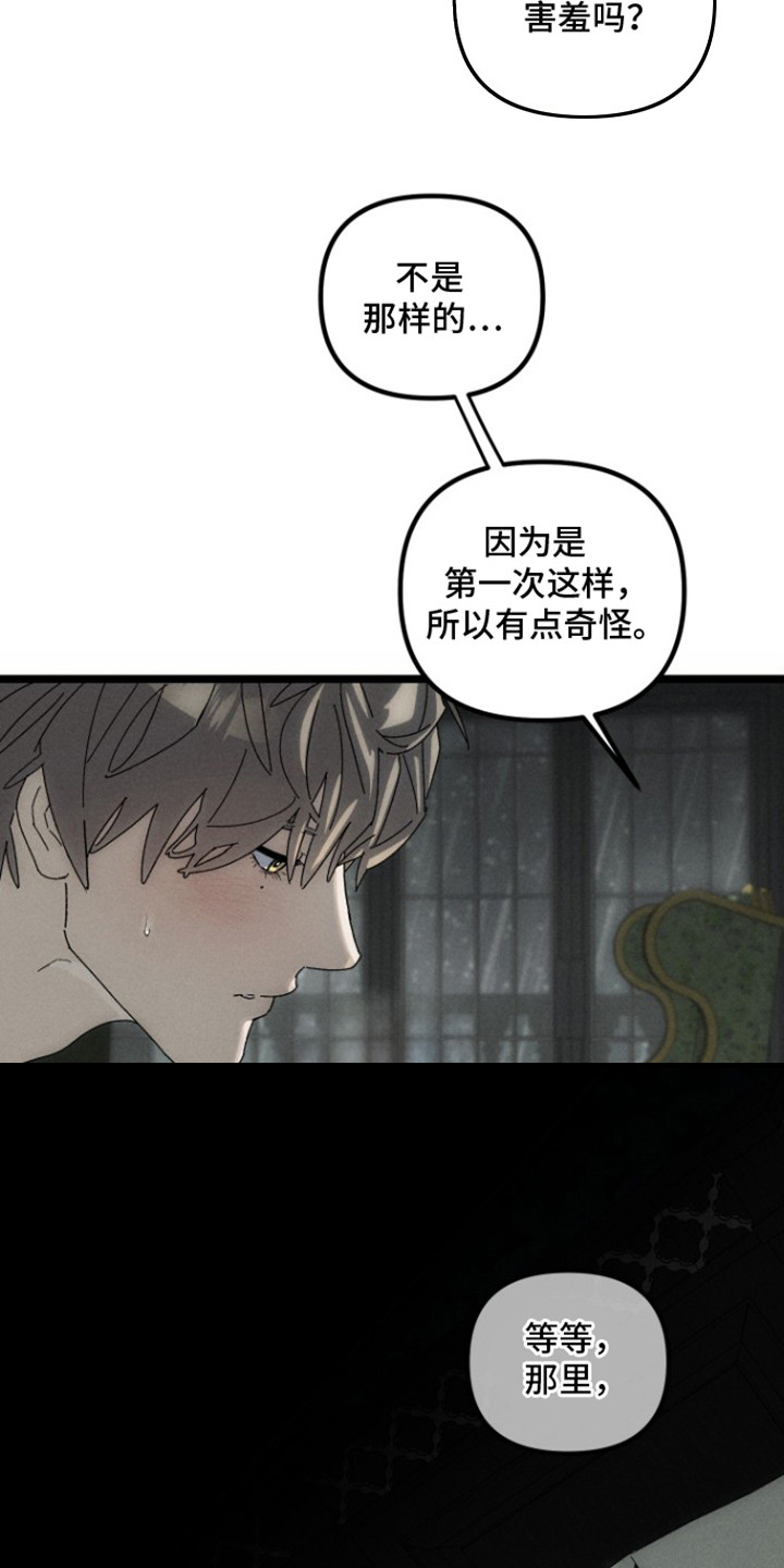 窥秘者漫画,第9章：奇怪的感觉1图