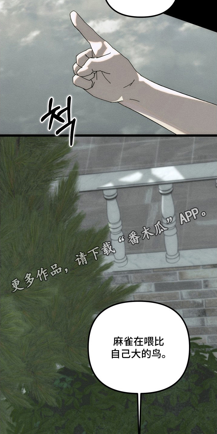 窥秘者漫画,第12章：布谷鸟1图