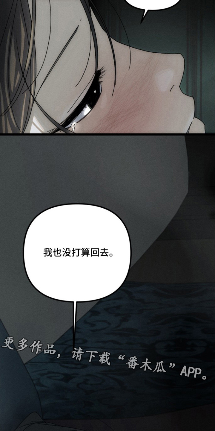 窥秘者漫画,第10章：没打算回去5图