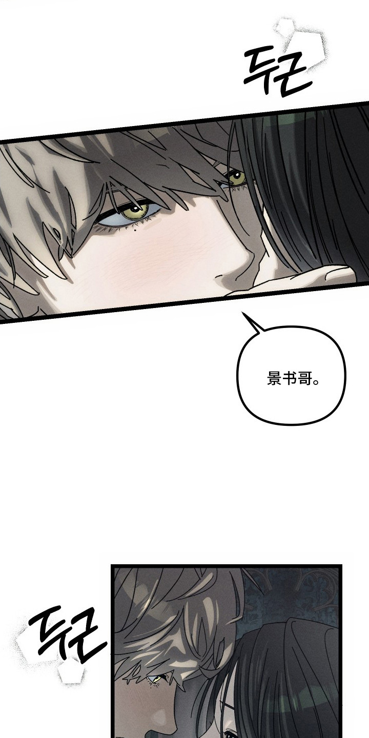 窥秘者漫画,第8章：不想再等了1图