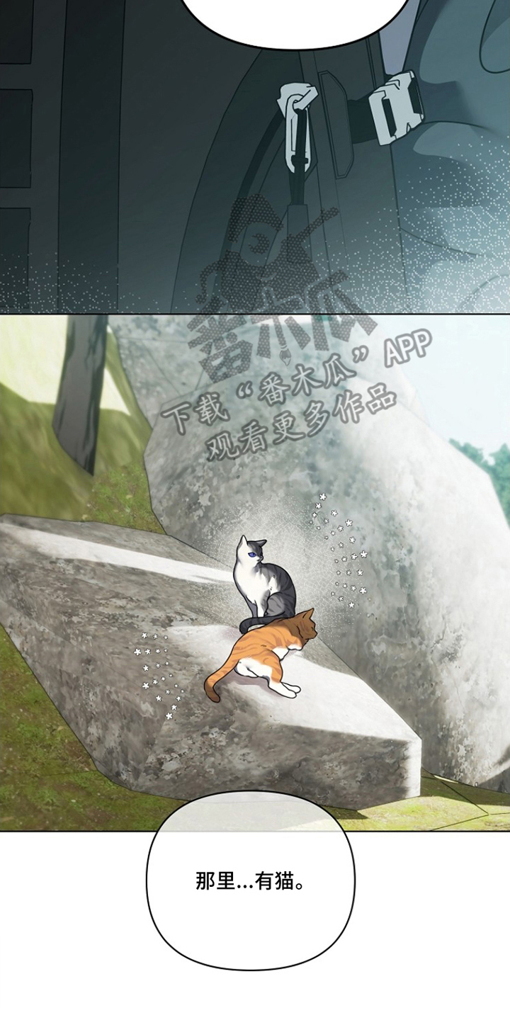 不可告人的木雕女神漫画,第23章：有猫3图