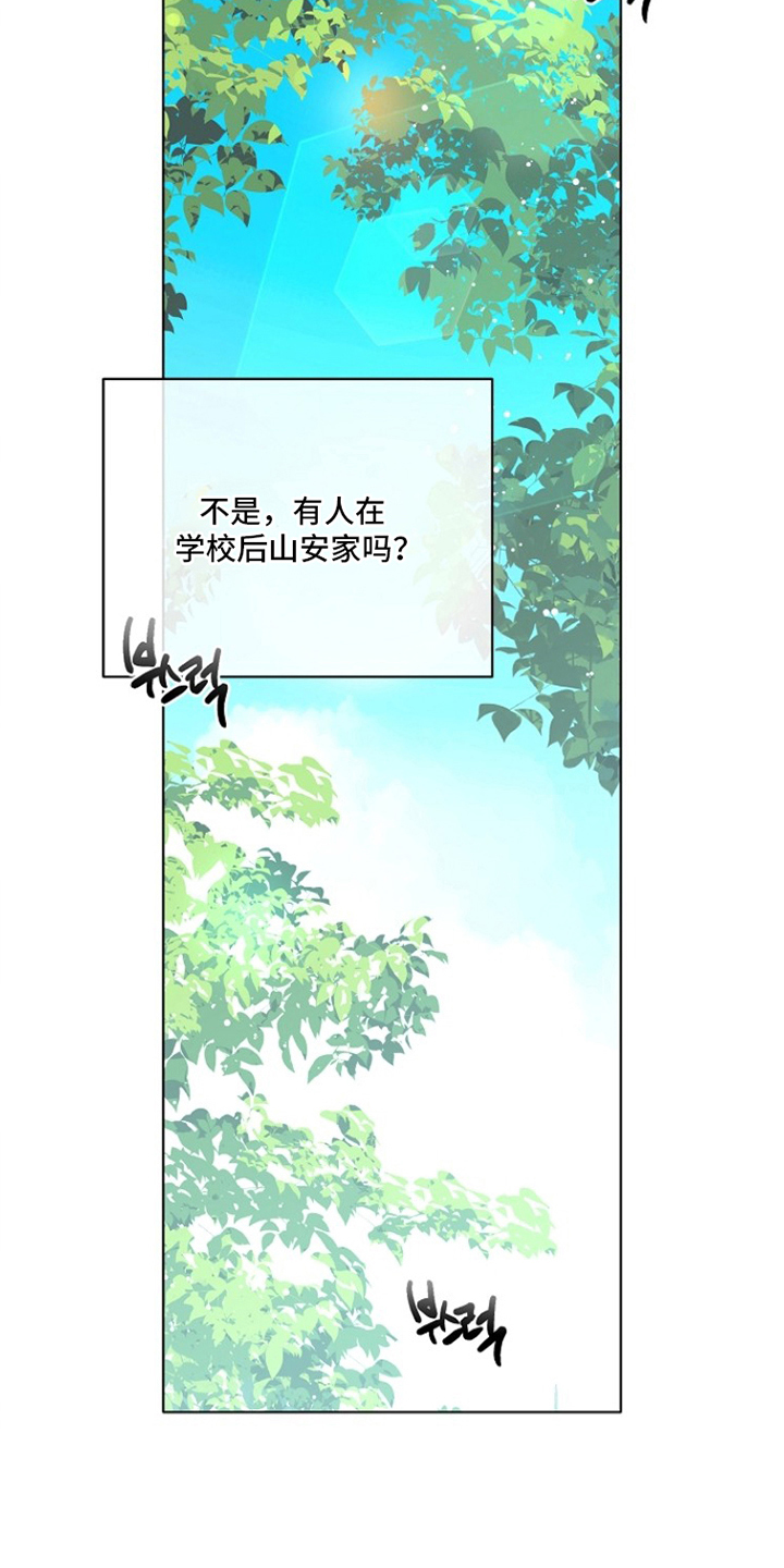 不可告人的木雕女神漫画,第21章：活动指南3图