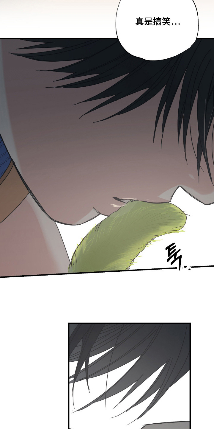 猫大爷和我漫画,第7章：试探3图
