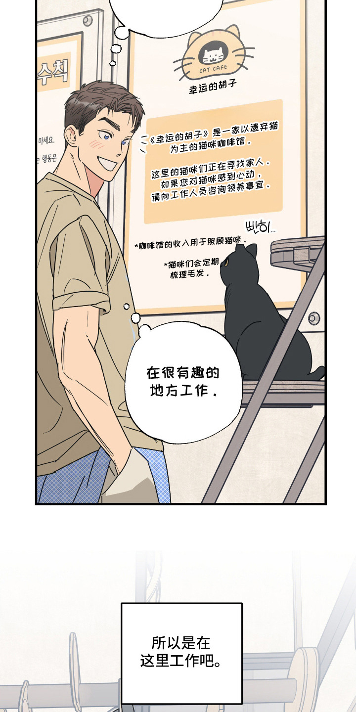 猫大爷和我漫画,第6章：大叔4图