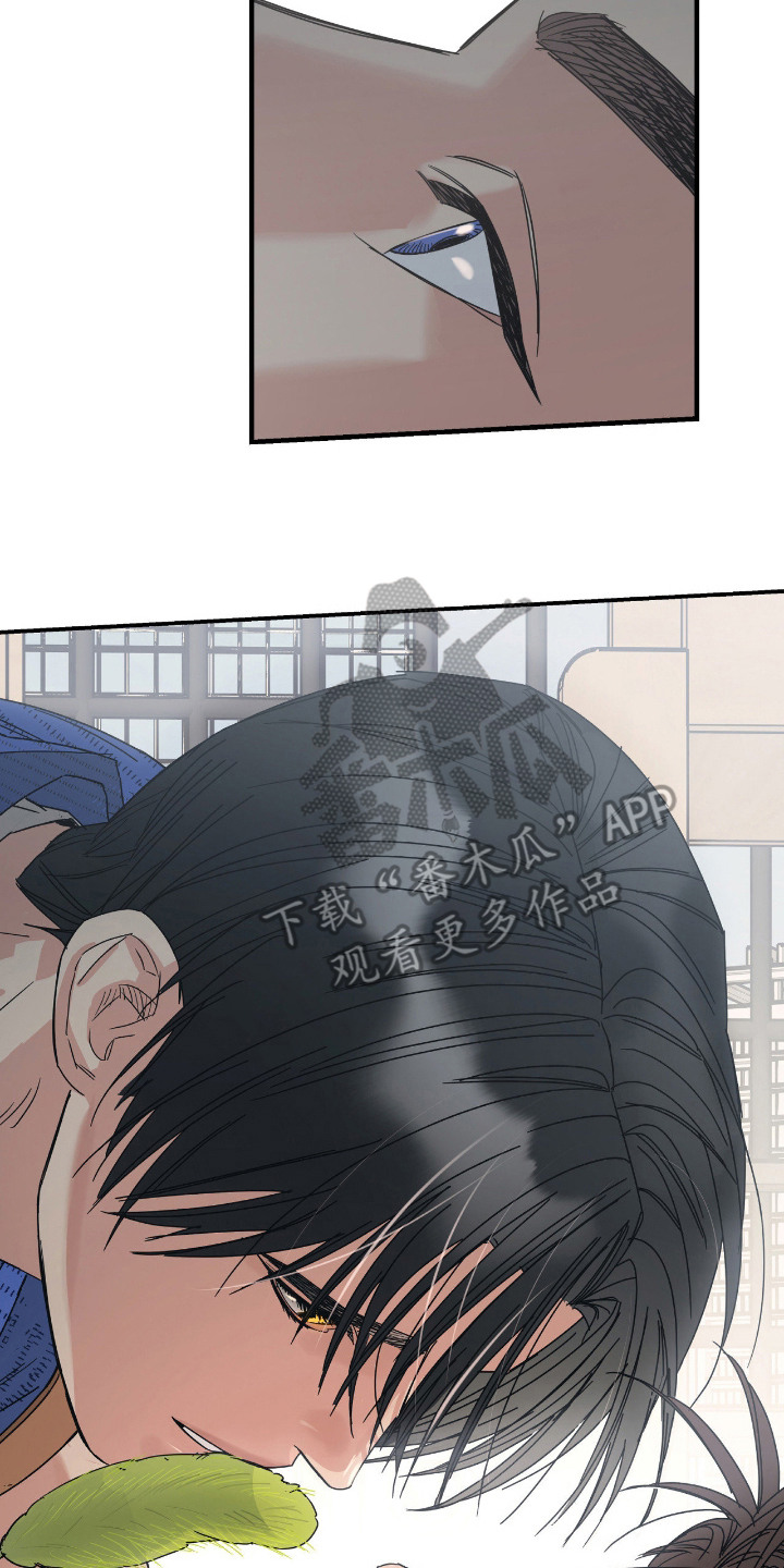 猫大爷和我漫画,第7章：试探4图