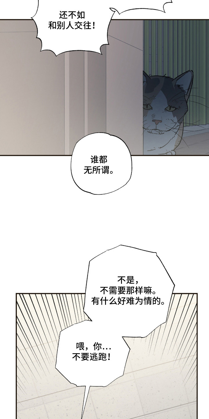 猫大爷和我漫画,第14章：坦诚4图