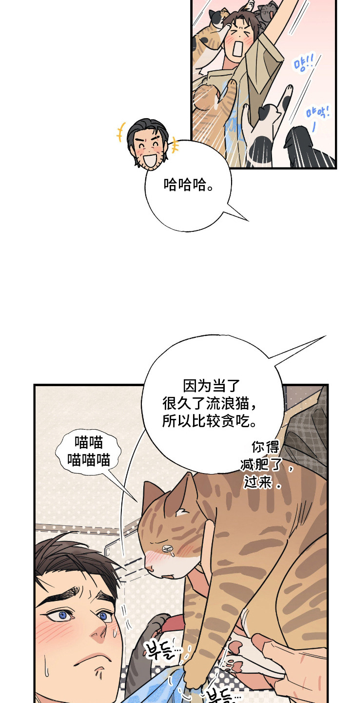 猫大爷和我漫画,第6章：大叔4图