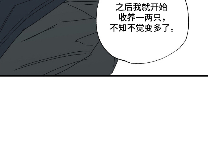 猫大爷和我漫画,第6章：大叔4图