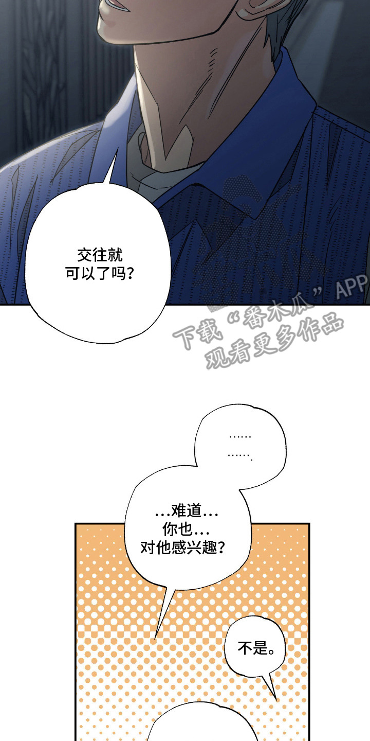 猫大爷和我漫画,第8章：不浪漫4图