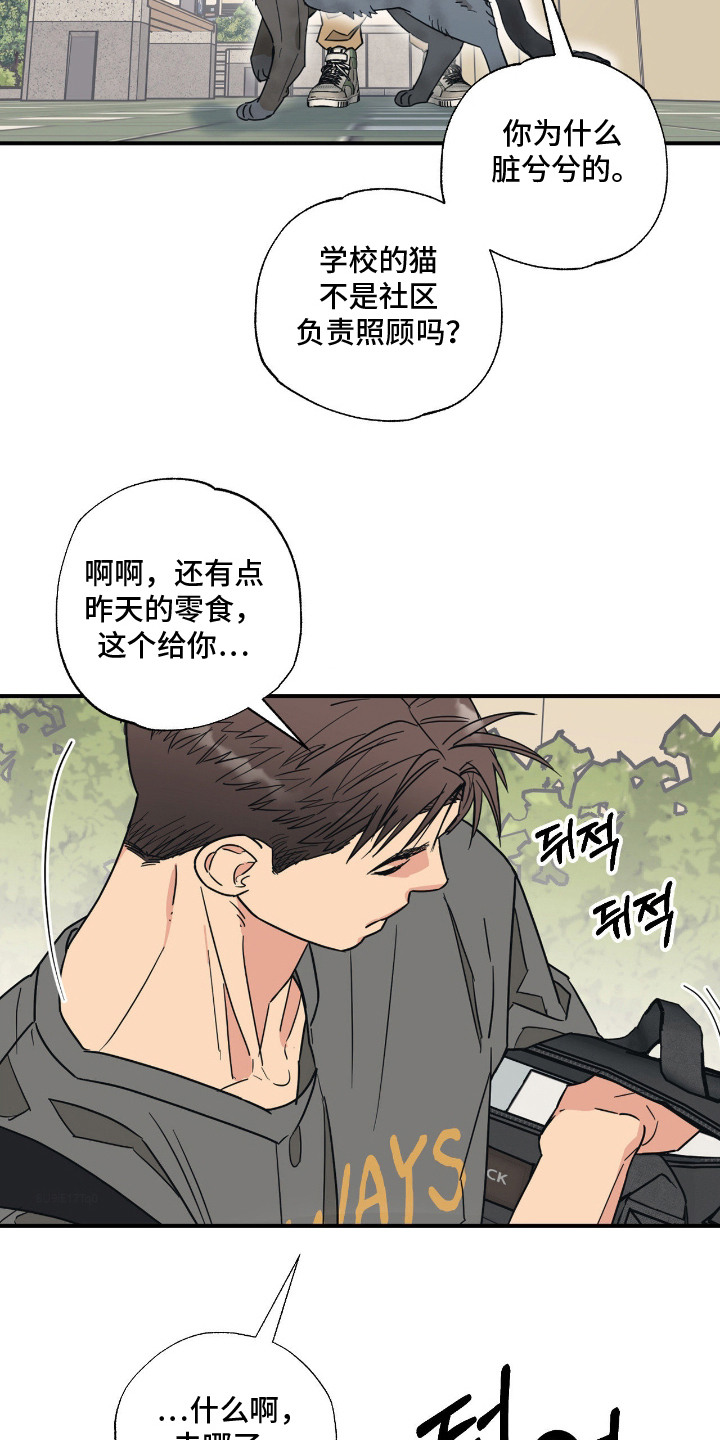 猫大爷和我漫画,第9章：绝交5图