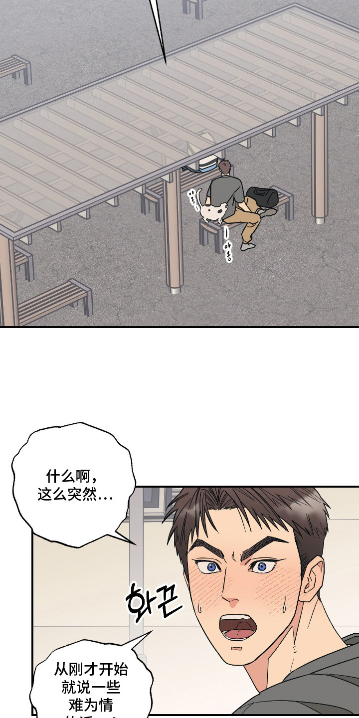 猫大爷和我漫画,第10章：喜欢你1图