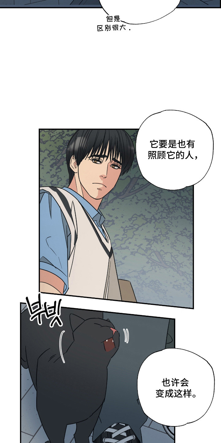 猫大爷和我漫画,第11章：不能不管3图
