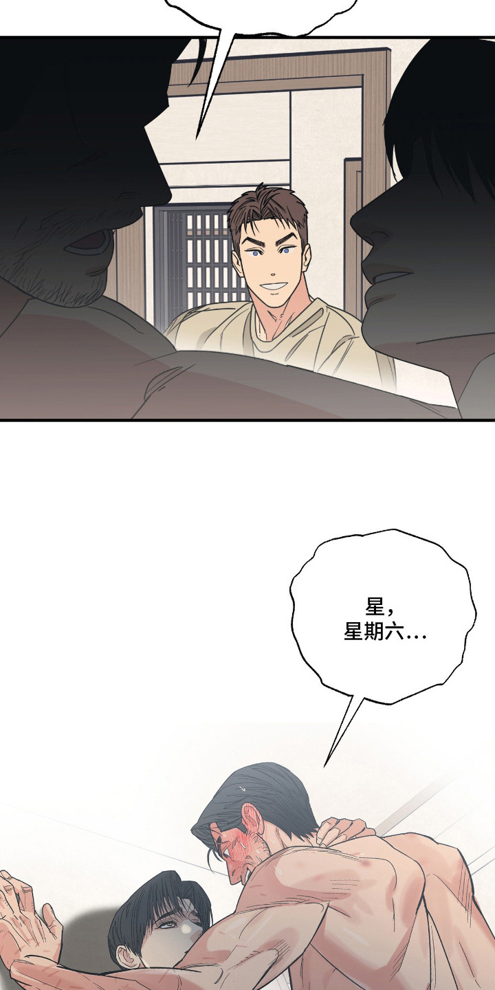 猫大爷和我漫画,第8章：不浪漫4图