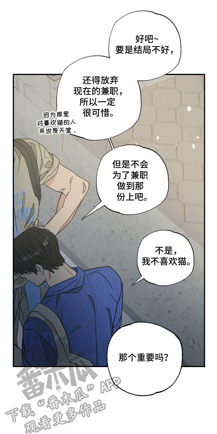猫大爷和我漫画,第9章：绝交2图