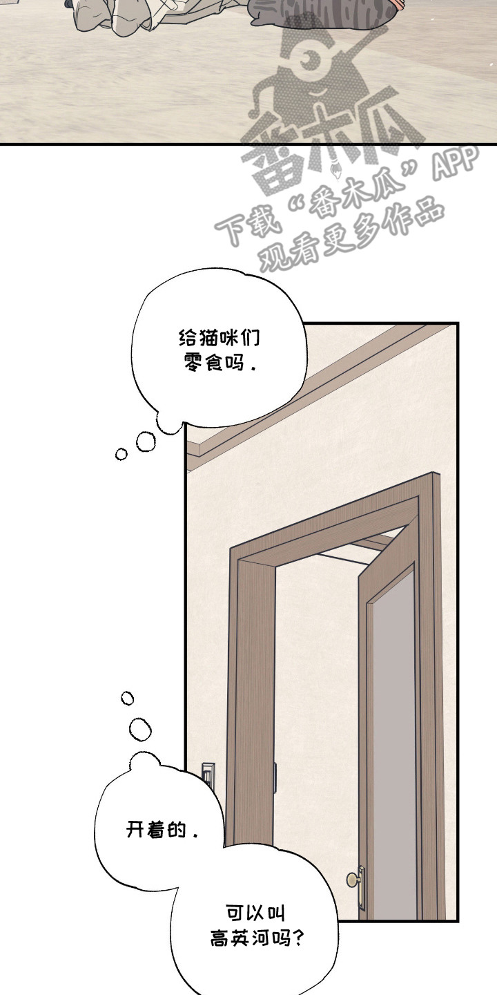 猫大爷和我漫画,第8章：不浪漫2图